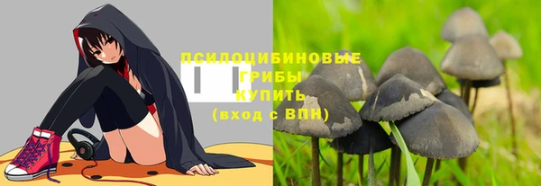 ПСИЛОЦИБИНОВЫЕ ГРИБЫ Усолье-Сибирское