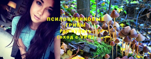 соль ск Усинск