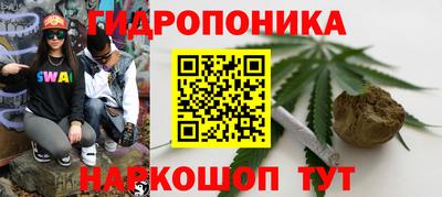 PSILOCYBIN Канаш