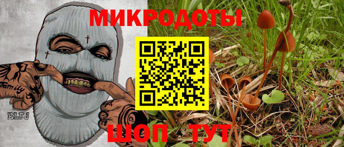 Курск  Псилоцибиновые грибы мухоморы  как найти   Вход с VPN 