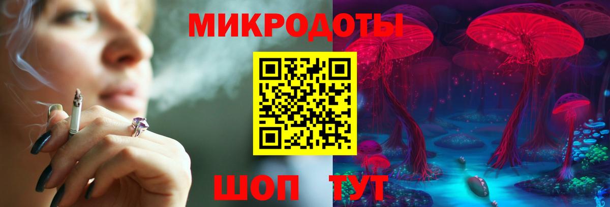 Галлюциногенные грибы Psilocybine cubensis Курск