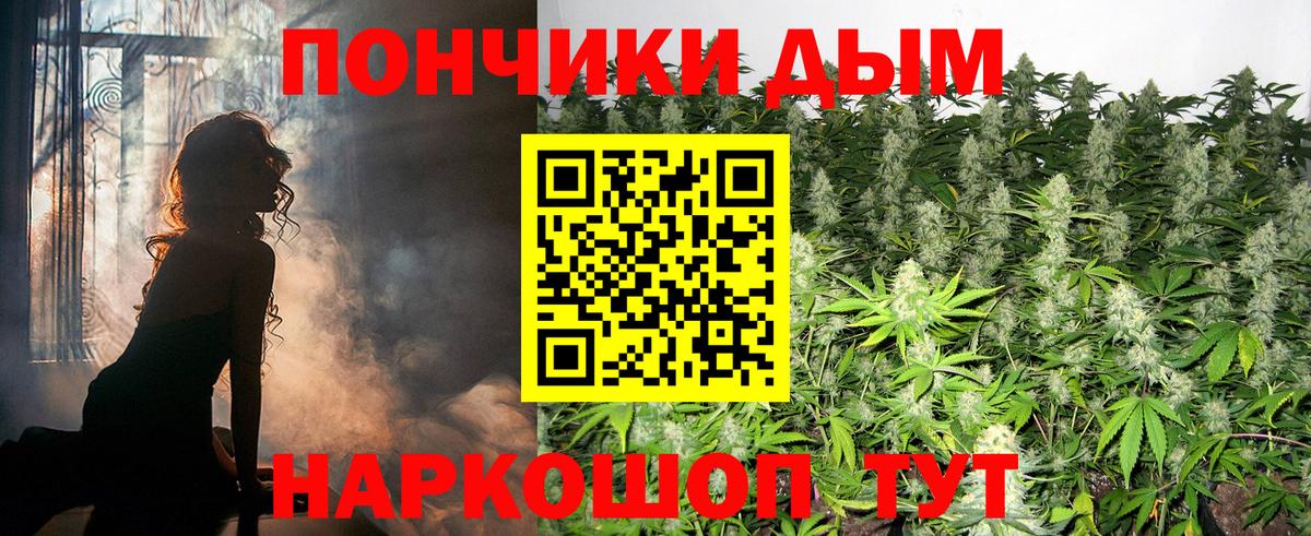 Галлюциногенные грибы Курск